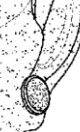 Close-up of zombie mask patent — earring detail