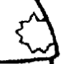 Close-up of witch costume patent — star detail